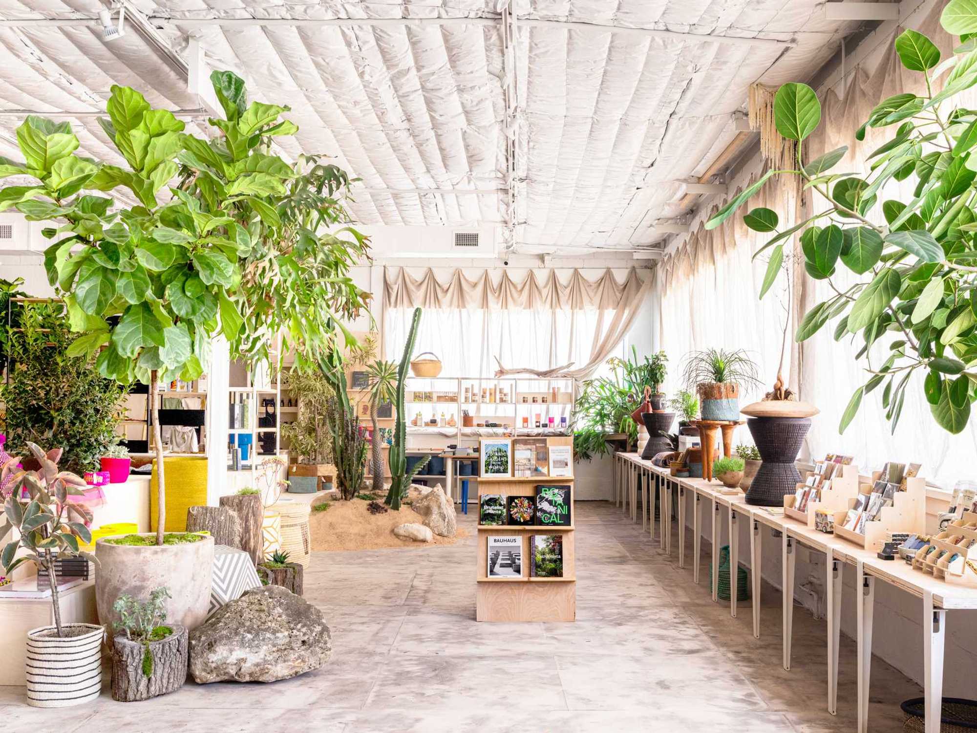 Barton Springs Nursery Design Studio & Showroom