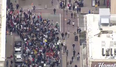 One detained after 'punches thrown' during Dallas 'No King's' protest, police say