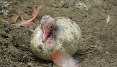 Yahoo lifestyle home