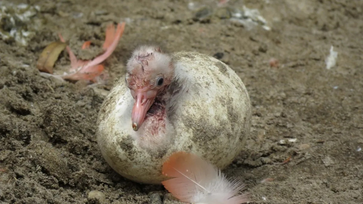 Yahoo lifestyle home