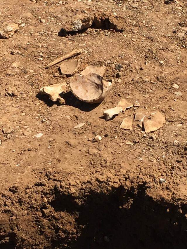 In March 2016, a construction crew found bones while digging a hole for a light pole in a parking lot at the corner of Lexington and Weatherford streets in downtown Fort Worth. The remains were 49 inches below the surface.