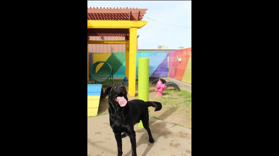 Yahoo lifestyle home