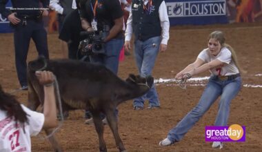Inside the Calf Scramble at the Houston Livestock Show and Rodeo