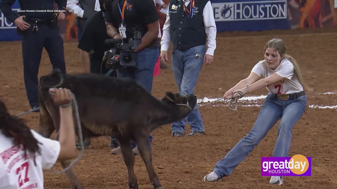 Inside the Calf Scramble at the Houston Livestock Show and Rodeo
