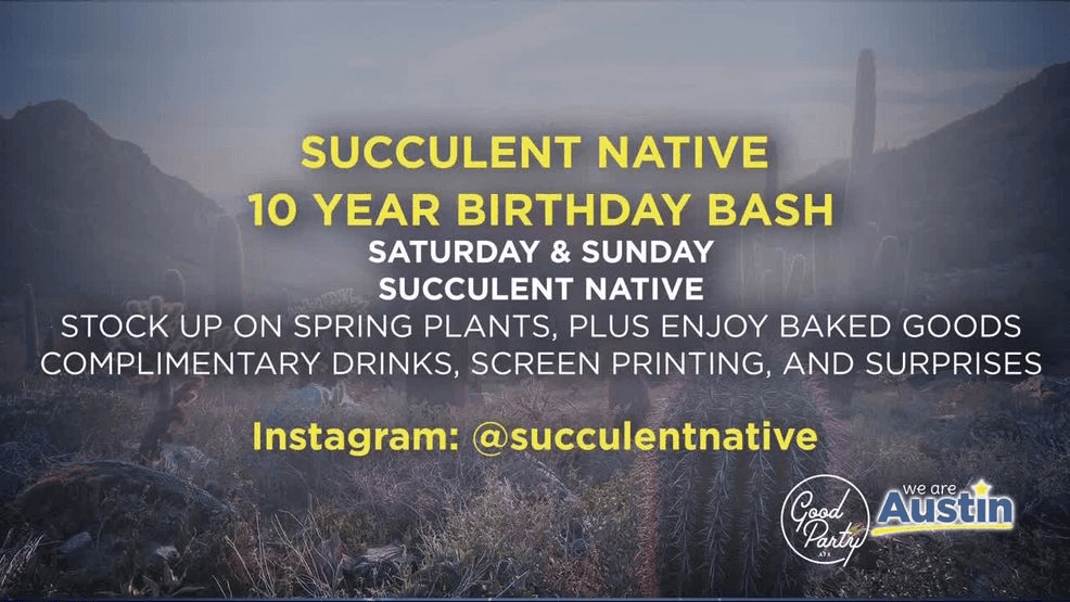 Succulent Native 10 Year Birthday Bash{p}{/p}
