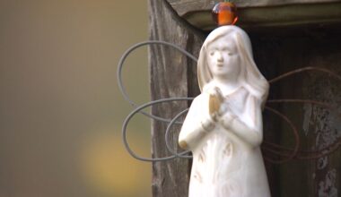 New arrest in Texas Killing Fields: What we know about the decades-old League City murders