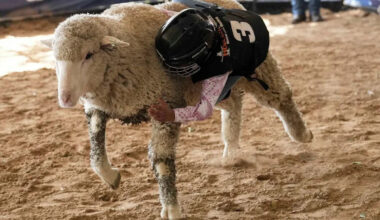 Yahoo lifestyle home