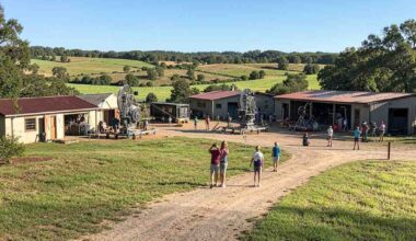 Canada, mexico, and the uk are seeing a massive surge in interest as bastrop county&rsquo;s burgeoning film industry and state-of-the-art film studios become the talk of the tourism world.