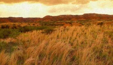 Popular Texas Panhandle park gets 2,200-acre expansion