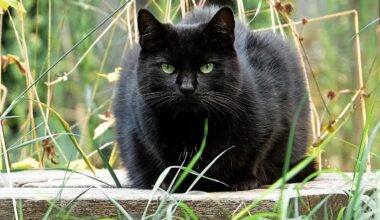 Acquired Through MGN Online on 08/15/2023