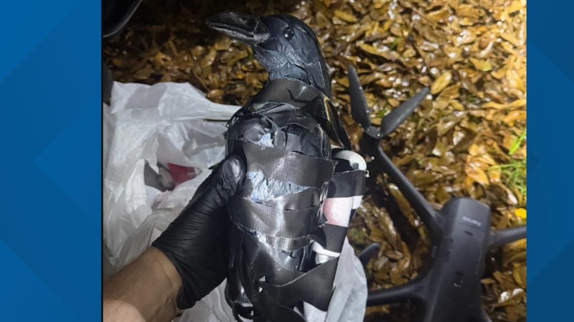 2 North Texas women arrested for allegedly smuggling drugs into prison using a drone and plastic crow decoy