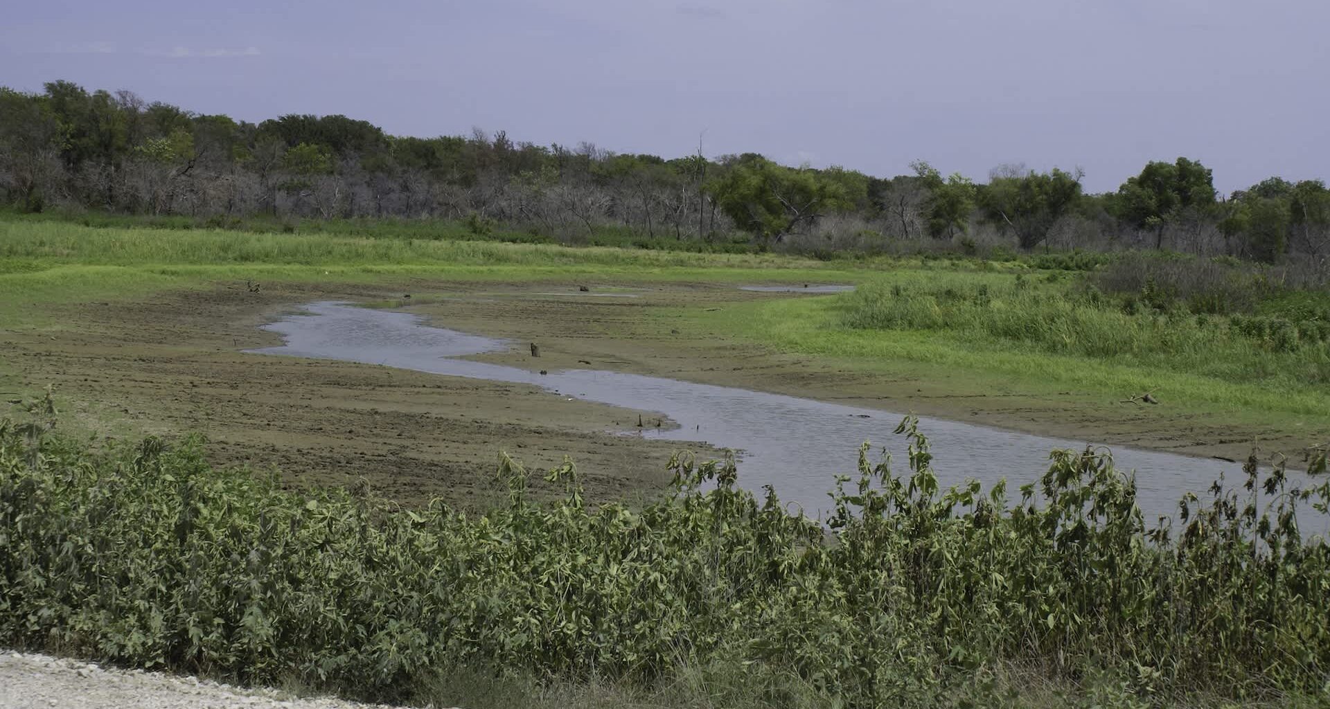 A marshy area with limited water winds into the distance.