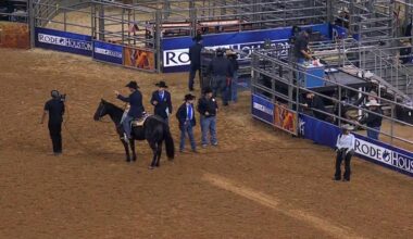 Steer euthanized after being injured in rodeo event, Houston Livestock Show and Rodeo confirms