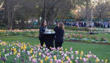 Garden parties top 7 best food events in Dallas this week