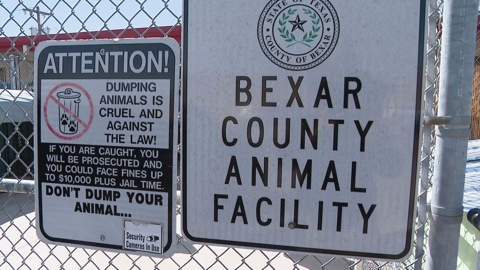 Jurisdiction confusion: Woman says agencies turned her away as sick dog suffered