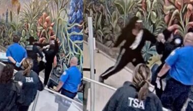 Man charged with punching 2 TSA officers, injuring Dallas police officer at Dallas Love Field, officials say