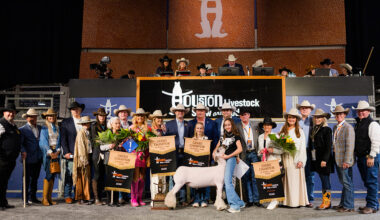 Million-dollar mutton: Grand Champion lamb cashes in at Houston Livestock Show and Rodeo