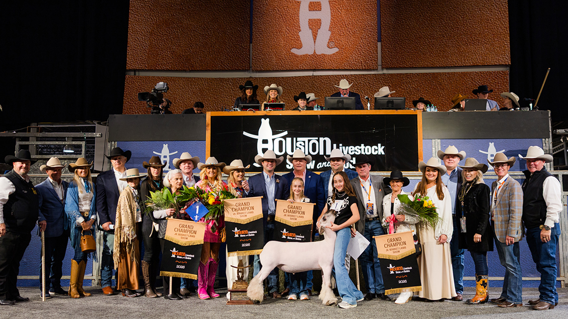 Million-dollar mutton: Grand Champion lamb cashes in at Houston Livestock Show and Rodeo