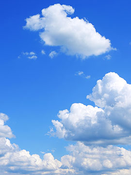 Armando Z. Gutierrez - 1954 - 2026