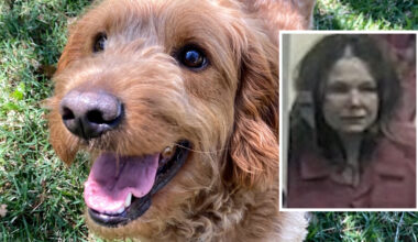 Woman let goldendoodle strangle himself during grooming session, investigators say