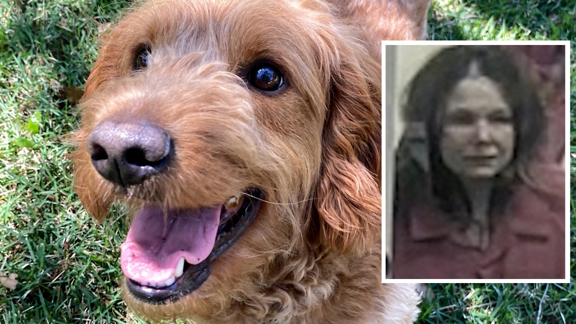 Woman let goldendoodle strangle himself during grooming session, investigators say
