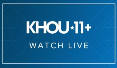 LIVE: Crowds gather ahead of 'No Kings' protest in downtown Houston