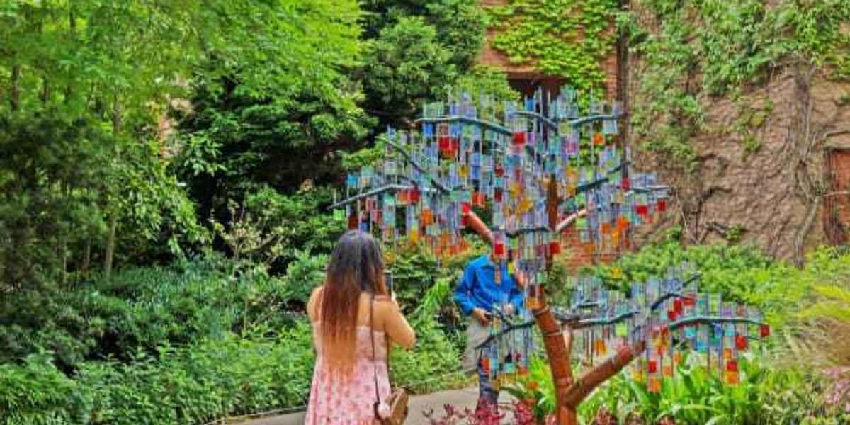 Otherwild exhibition opens at San Antonio Botanical Garden