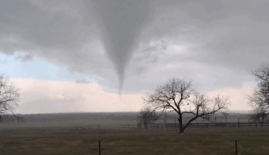 Dallas weather: Severe storms and flooding risks continue; wind advisory issued