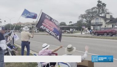 'No Kings' rally at Cole Park