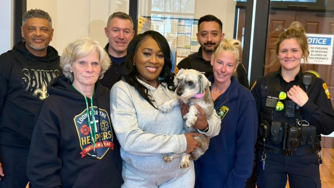 A dog went missing in Texas 2 years ago. She was just found in New Jersey