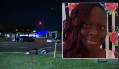 Mother of 2 fighting for her life after suffering internal decapitation in hit-and-run, Houston-area family says