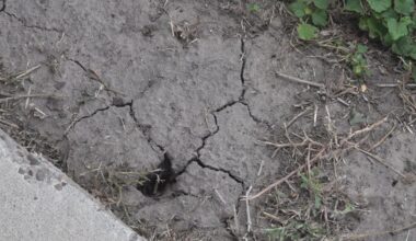 City of Sinton skips water project meeting over data and transparency concerns