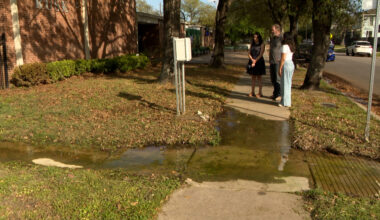 Algae-covered sidewalk near East End school raises safety concerns