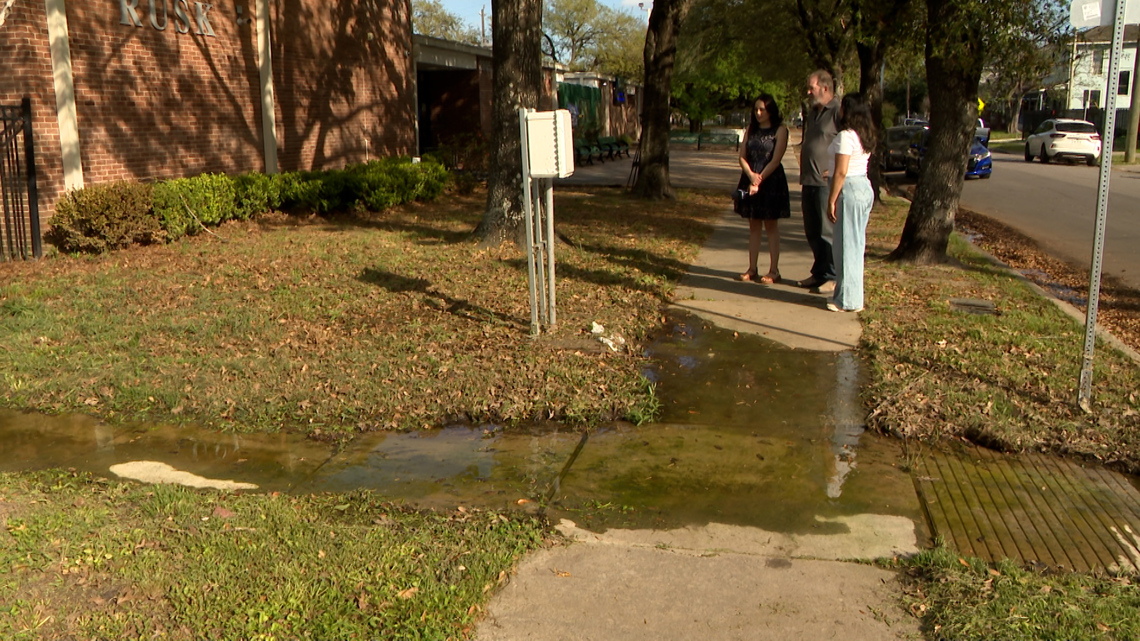 Algae-covered sidewalk near East End school raises safety concerns