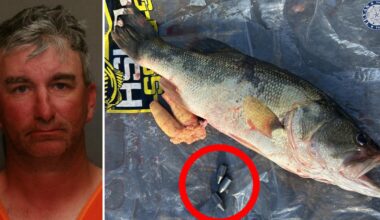Angler arrested after getting caught cheating during North Texas fishing tournament