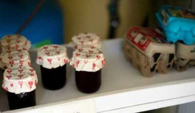 City of Austin approves resolution for front yard businesses