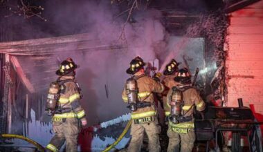 Fort Worth firefighters save 2 dogs in house fire – NBC 5 Dallas-Fort Worth
