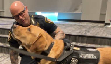 Fort Worth's newest K‑9 crimefighter Copper earns badge, joins child‑exploitation investigations