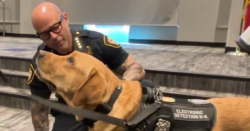 Fort Worth's newest K‑9 crimefighter Copper earns badge, joins child‑exploitation investigations