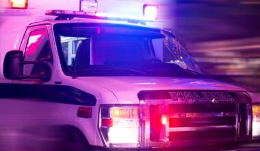 Dog that entered Midlothian home attacks 1‑year‑old child and adult; authorities searching for owner, police say