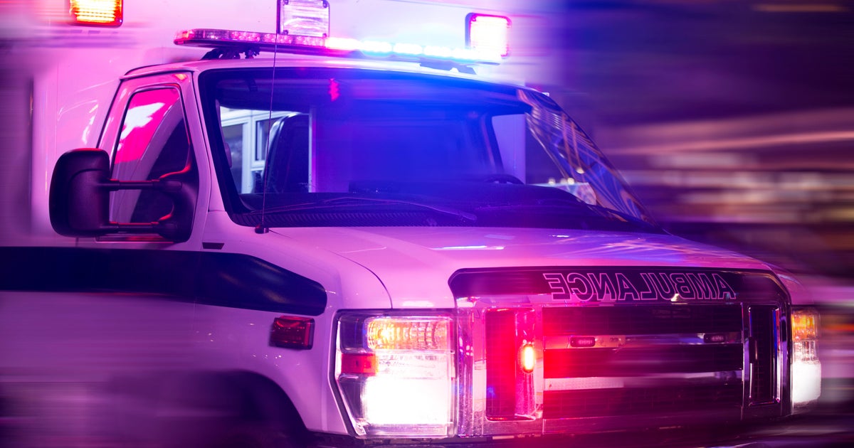 Dog that entered Midlothian home attacks 1‑year‑old child and adult; authorities searching for owner, police say