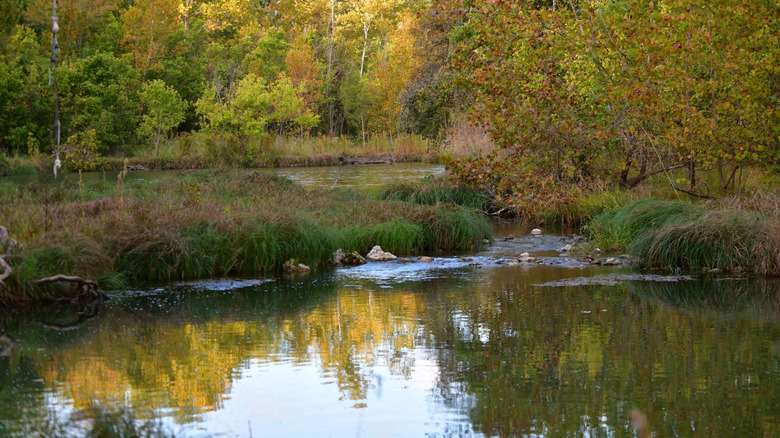 Chalk Ridge Falls in Central Texas