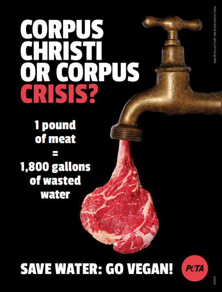 Corpus Christi Water Crisis: PETA Says Dietary Fix Can Help Keep the Taps Running