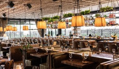 Restaurants, wellness, a playground: 4 businesses new to Plano in 2026