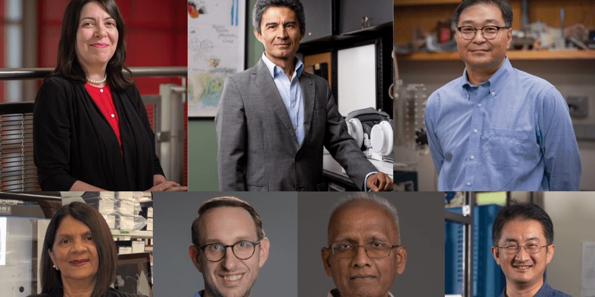 Houston, UH leads Texas with seven new NAI senior members