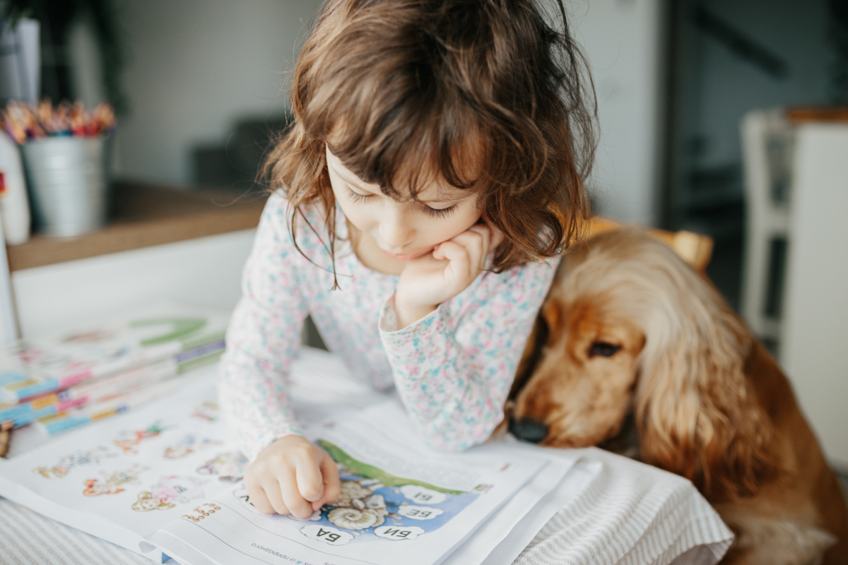 Kids Read To Therapy Dogs At Plano’s Haggard Library - Local Profile