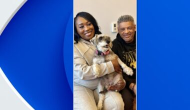 Dog missing from Texas for 2 years found in New Jersey