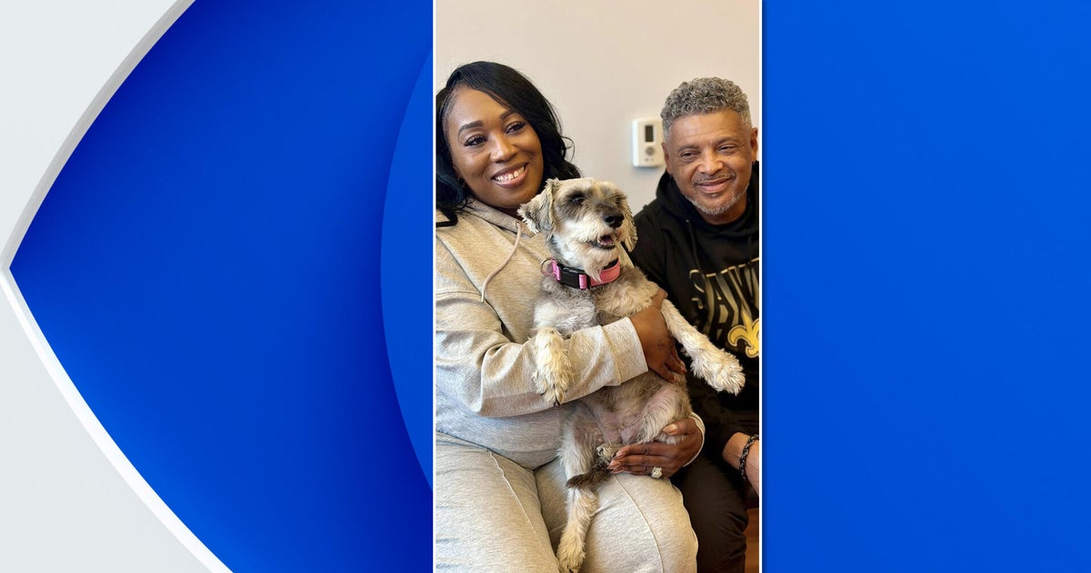 Dog missing from Texas for 2 years found in New Jersey