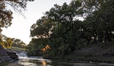 The Reel Story On Fly Fishing Collin County - Local Profile