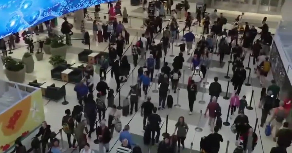 Long TSA lines in Houston push travelers to hit the road